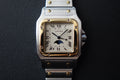 Cartier Santos Galbee Moonphase 119901