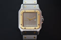 Cartier Santos Carree 2961 half gold ghost dial watch only