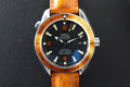 Omega Seamaster Planet Ocean 2909.50.38 w Papers & Outerbox
