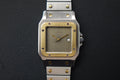 Rare Cartier Santos Carrée 2961 Tropical Ghost Dial Two-tone