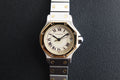 Cartier Santos Octagon SM Hlaf Gold W2001683